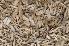 biomass boilers Honor Oak